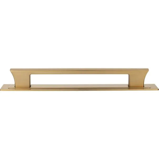 Atlas Zander Appliance Pull & Backplate