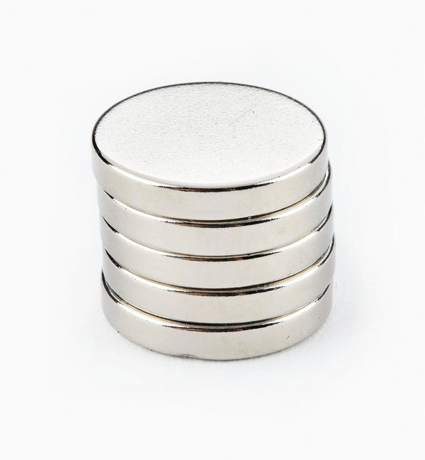 Rare Earth Magnet