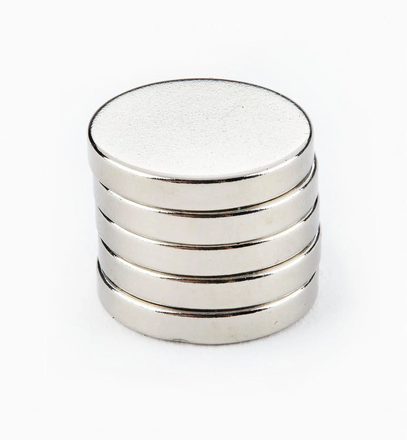 Rare Earth Magnet