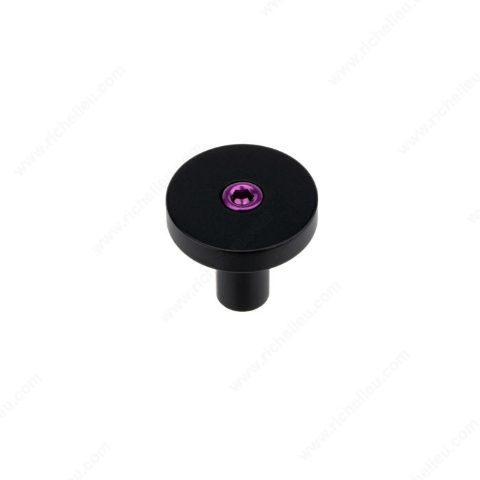 Richelieu Contemporary Metal Knob - 2079 - Inspiration Collection