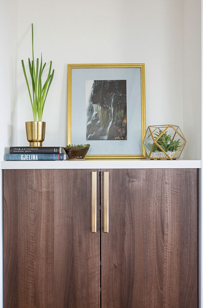 Emtek Geometric Rectangular Pull